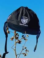 Hawaii 808 - Six Panel