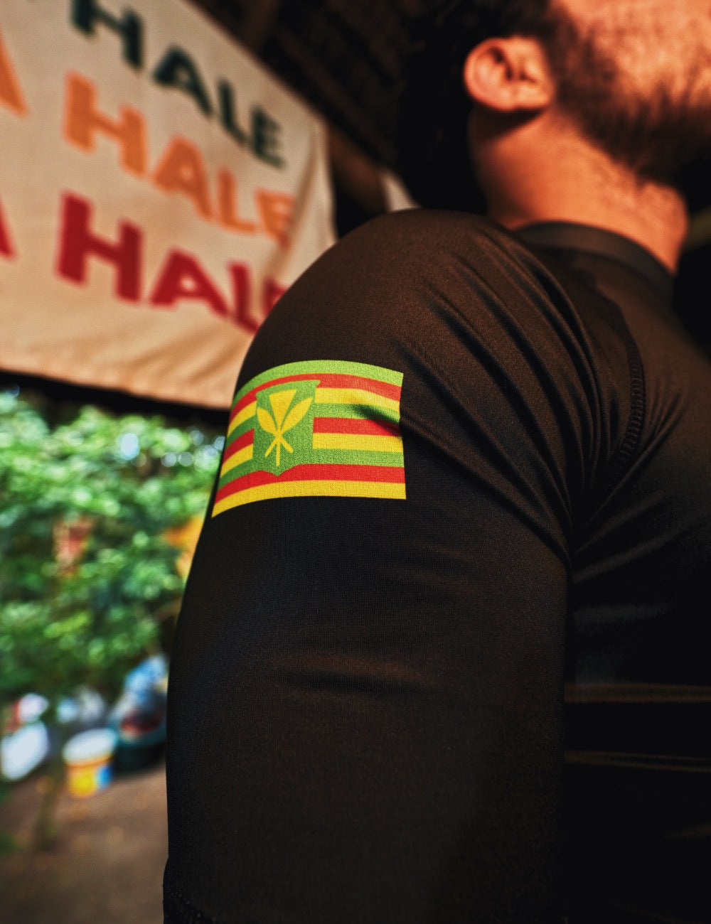 Hawaii 808