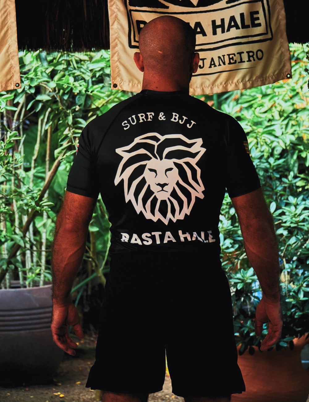 Hawaii 808
