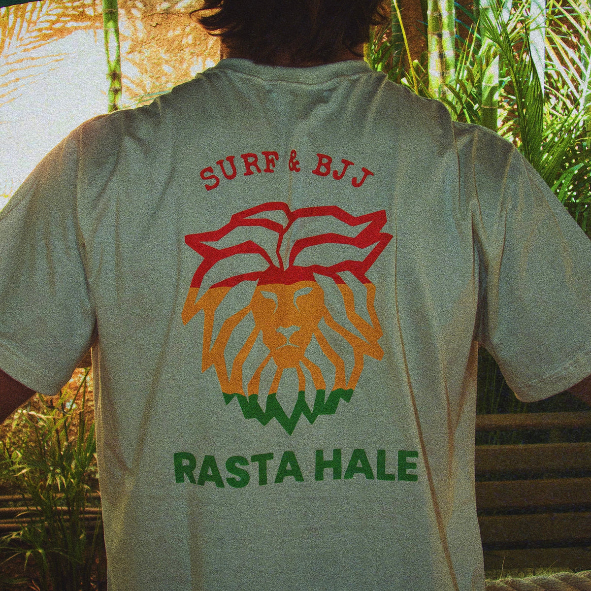 Camisas - Brasil & Hawaii