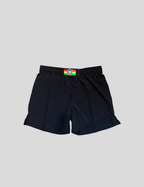 Hale Guardian - Fight Short