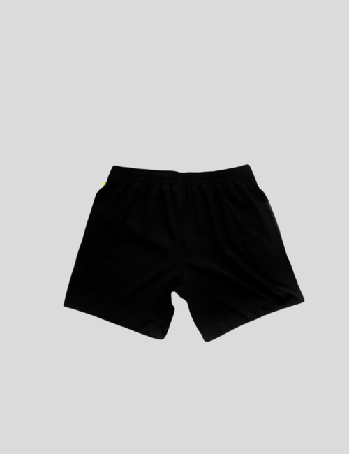 Hale Guardian - Fight Short